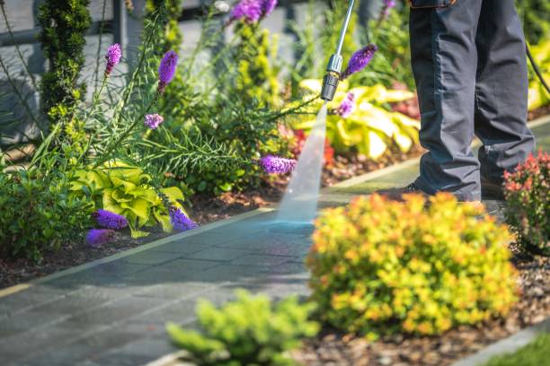 Professional Pressure Washing Services in Ruskin, FL